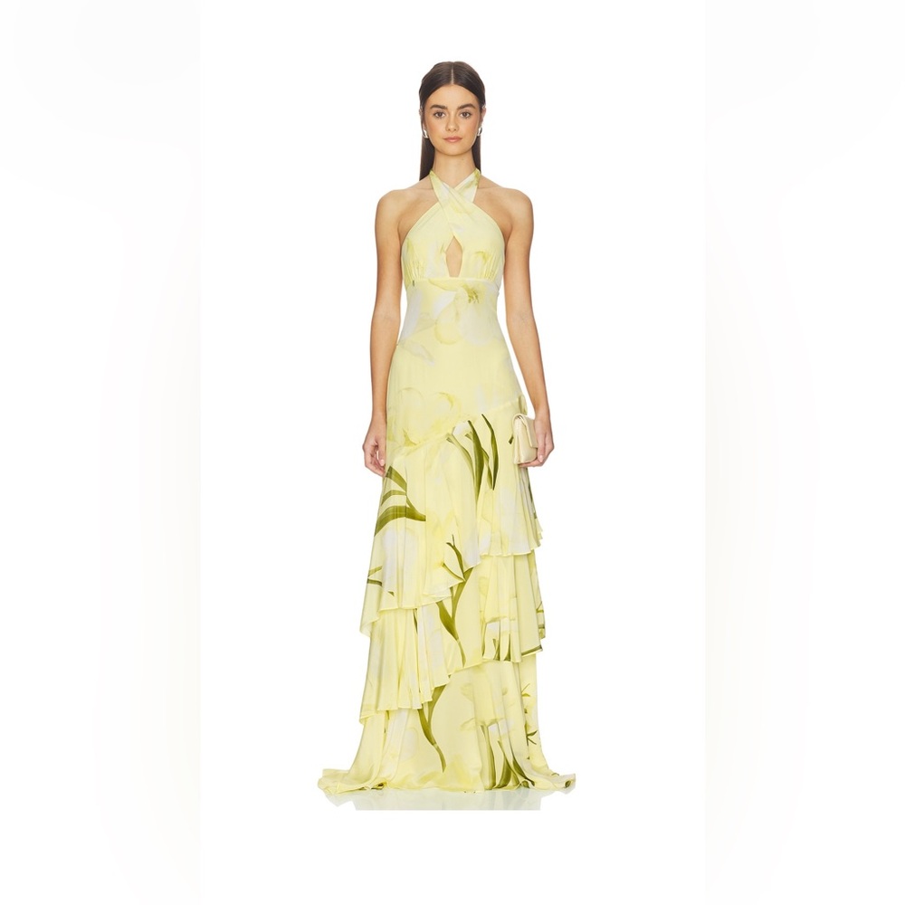 NWT CARA CARA Tiered Silk Gown